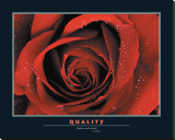 Buy Quality at AllPosters.com