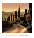 Country Lane, Tuscany
