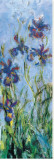 Buy Irises (detail) at AllPosters.com