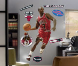 Ben Gordon - NBA -Fathead