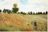 Buy Poppies at AllPosters.com