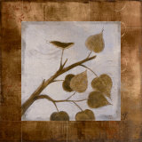 Buy Aspen at AllPosters.com