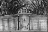 Buy Oak Alley Plantation, Louisiana at AllPosters.com