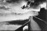 Buy Path to Volcao, Rotorua, New Zealand at AllPosters.com