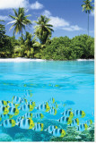 Buy Tropical Scenery II at AllPosters.com