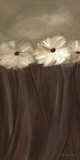 Buy Daisy Bouquet at AllPosters.com