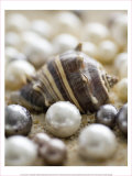 Buy Sea Jewels II at AllPosters.com