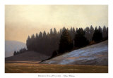 Buy Morning Near Potlatch at AllPosters.com