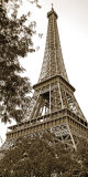 Buy La Tour Eiffel I at AllPosters.com