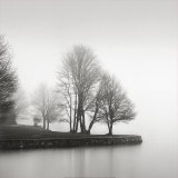 Buy Fog and Trees at Dusk at AllPosters.com
