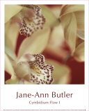 Buy Cymbidium Flow I at AllPosters.com