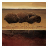 Buy Vista de Espanole at AllPosters.com