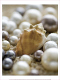 Sea Jewels III