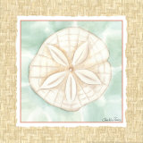 Ocean Sanddollar