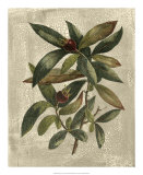 Buy Deshayes Tree III at AllPosters.com
