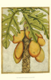 Graphic Palms I
