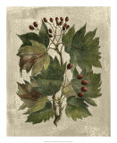 Buy Deshayes Tree I at AllPosters.com