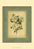 Buy Spa Blue Curtis IV at AllPosters.com