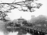 Buy Lotus Pavillion II at AllPosters.com