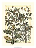 Buy Arts and Crafts Oak at AllPosters.com