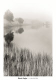 Buy Lakeside Mist at AllPosters.com