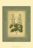 Buy Spa Blue Curtis II at AllPosters.com
