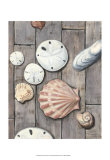 Seashore Treasure II