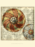 Vintage Rosette III