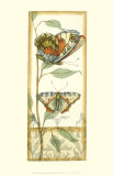 Tandem Butterflies III