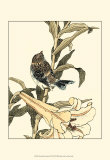 Oriental Bird on Branch II
