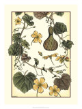 Buy Arts and Crafts Gourd at AllPosters.com