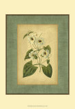 Buy Spa Blue Curtis III at AllPosters.com