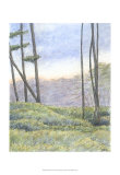 Buy Tranquil Horizon II at AllPosters.com