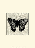 Classical Butterfly II