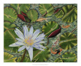 Buy Enchanting Lily at AllPosters.com