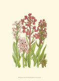 Buy Summer Garden VII at AllPosters.com