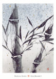 Buy Cool Bamboo I at AllPosters.com