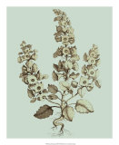 Buy Imperial Munting II at AllPosters.com