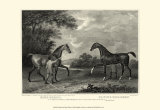Buy King Herod and Flying Childers at AllPosters.com