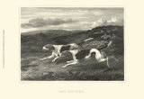 Buy Foxhounds at AllPosters.com