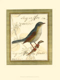 Spring Chorus II