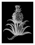 Pineapple Noir II