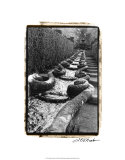 Italian Garden IV