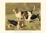 Buy Basset Hounds at AllPosters.com