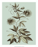 Buy Imperial Munting III at AllPosters.com
