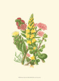 Buy Summer Garden X at AllPosters.com