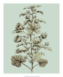 Buy Imperial Munting I at AllPosters.com
