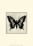 Classical Butterfly I