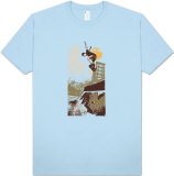 Buy Retro - Skater on Half Pipe at AllPosters.com