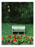 Buy Neo-Gothic Bench in the Park of Babelsberg Palace, Potsdam at AllPosters.com